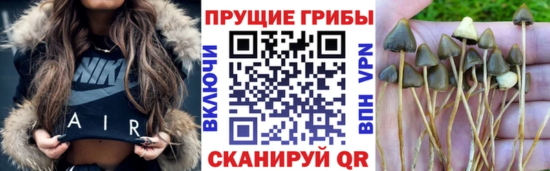 Галлюциногенные грибы Magic Shrooms  Иркутск 